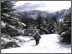 Snowshoeing at Crystal Cabin