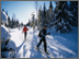 XCountry Skiing at Crystal Cabin.